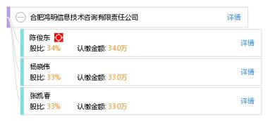 合肥鴻明信息技術咨詢有限責任公司 專業信息技術咨詢服務的引領者