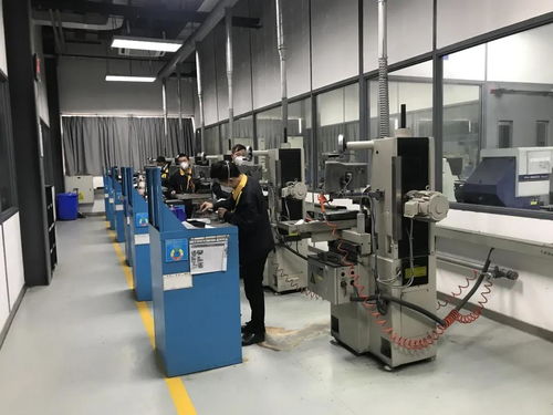 問需于企，精準服務 走進物聯網應用服務領域的雙星